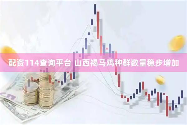 配资114查询平台 山西褐马鸡种群数量稳步增加