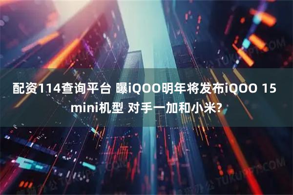 配资114查询平台 曝iQOO明年将发布iQOO 15 mini机型 对手一加和小米?