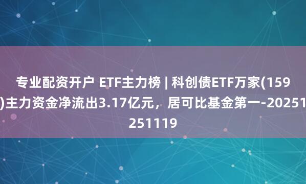 专业配资开户 ETF主力榜 | 科创债ETF万家(159110)主力资金净流出3.17亿元，居可比基金第一-20251119