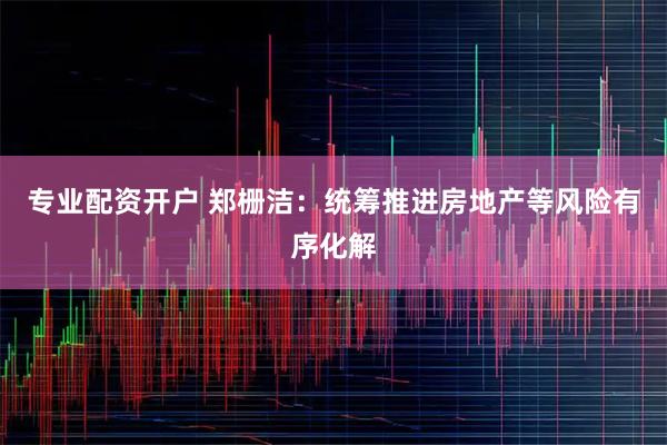 专业配资开户 郑栅洁：统筹推进房地产等风险有序化解