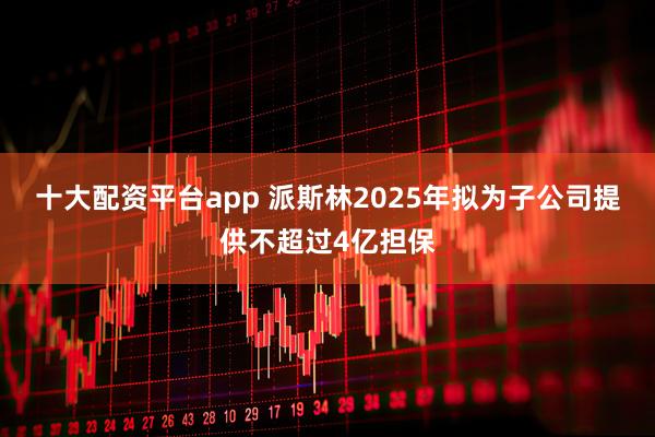 十大配资平台app 派斯林2025年拟为子公司提供不超过4亿担保
