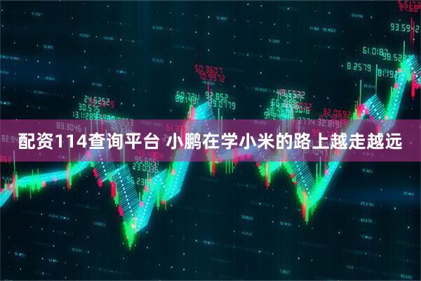 配资114查询平台 小鹏在学小米的路上越走越远
