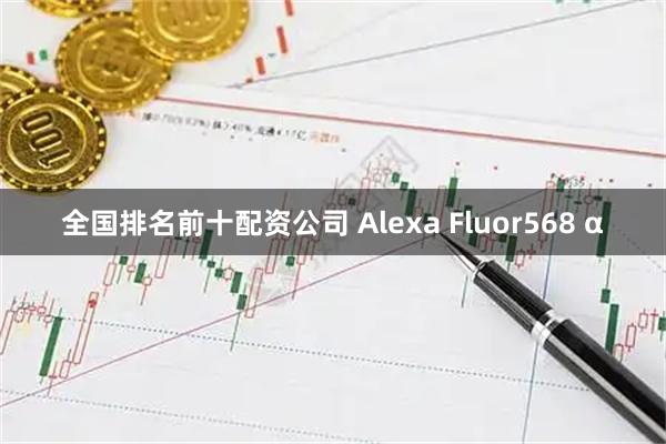 全国排名前十配资公司 Alexa Fluor568 α